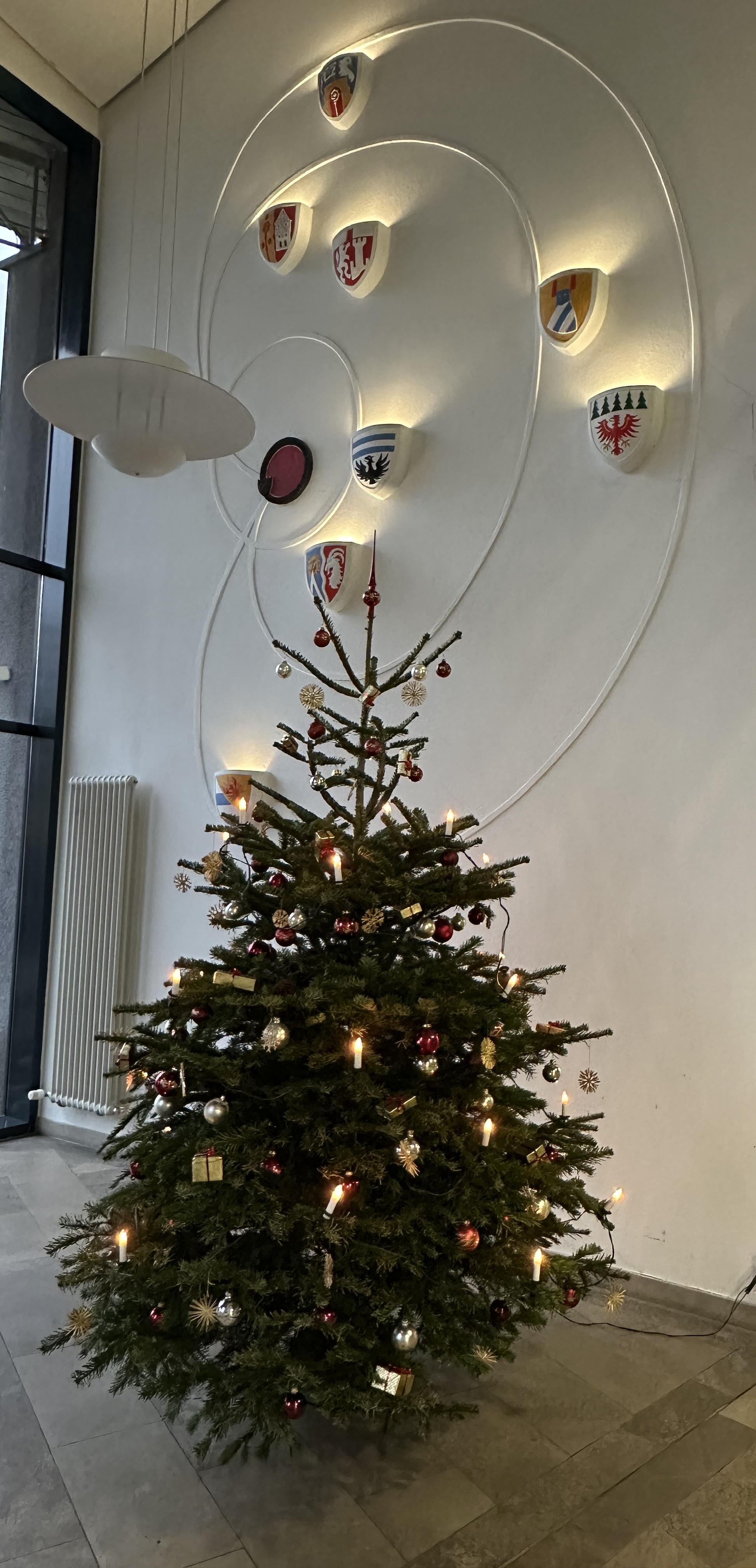 VG-Weihnachtsbaum.jpg (1)